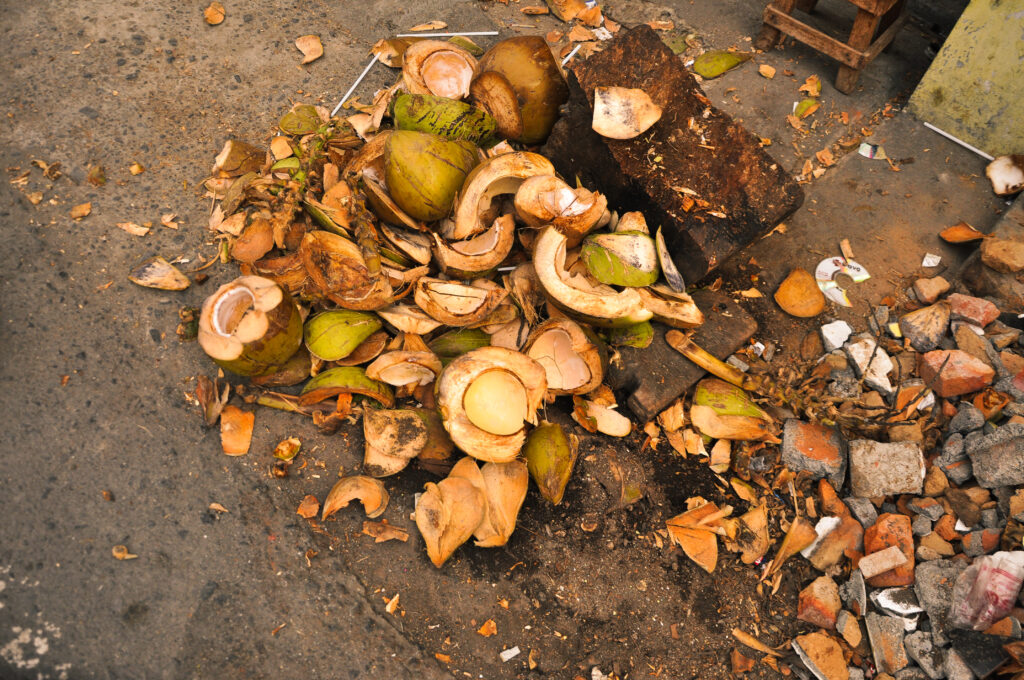 Noix de coco, yogyakarta, java, indonésie, backpacking